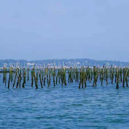 L'etrille *